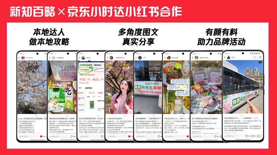 想查看京东达人文章？这些官方途径可助你轻松获取